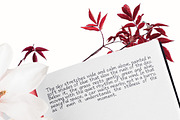 Fairy Silk | Handwritten, a Handwritten Font by NazmulsDesign (Thumbnail 13 of 15)