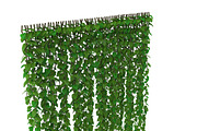 Wall of vines, an Environmental 3D Model by AndrewWhite (Thumbnail 5 of 5)