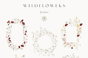 Wildflowers Watercolor Wild Botany, a Decorative Illustration by Kreker Kate (Thumbnail 7 of 11)