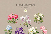Floral Seamless Patterns + Cliparts, a Pattern Graphic by Olya Creative (Thumbnail 5 of 20)