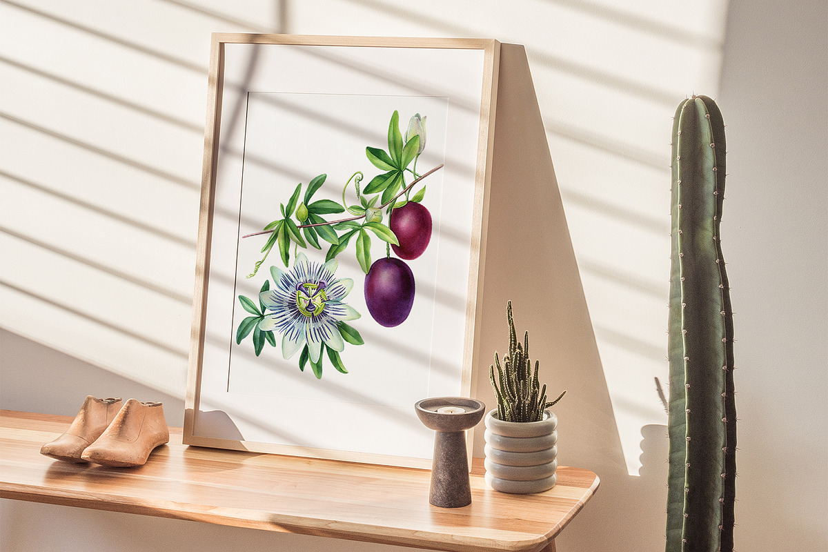 Fruits and berries, an Illustration by Hanna Hryharenka (Photo 16 of 16)
