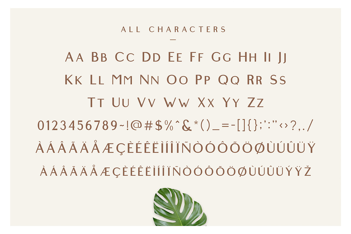 Highfield - Luxury Sans Font Family preview 2