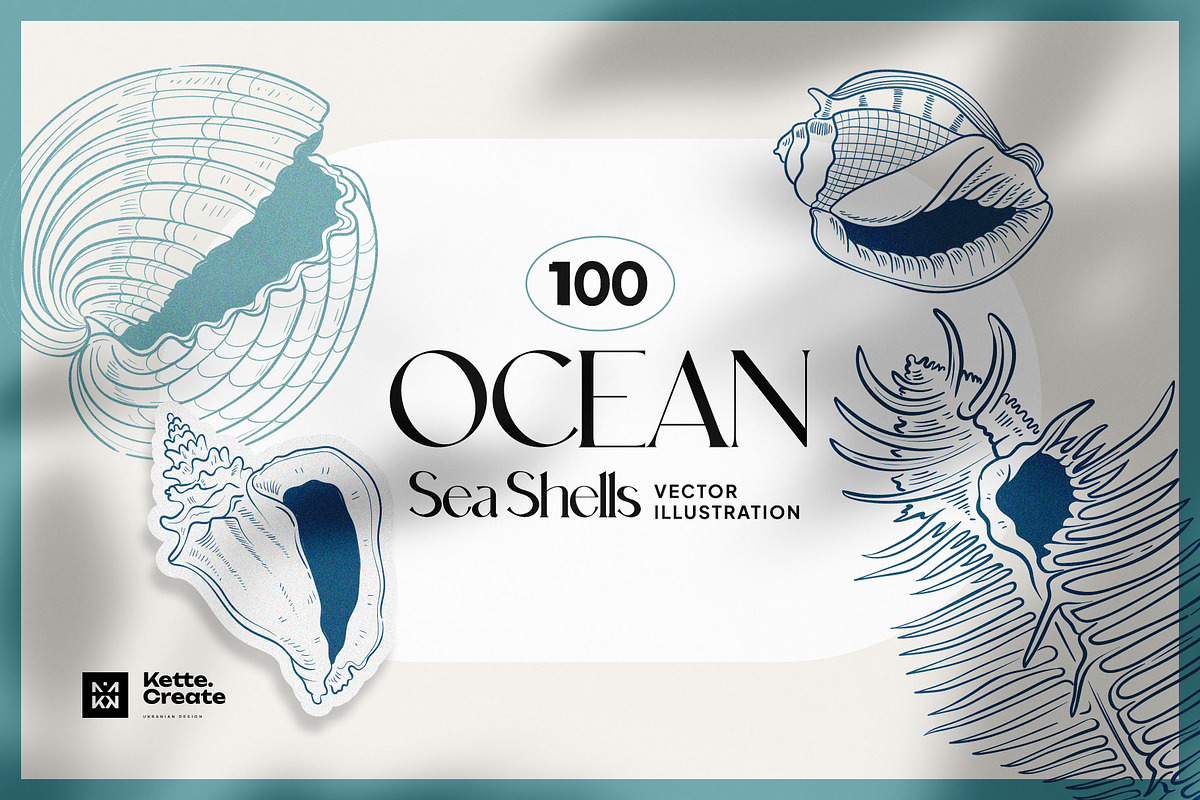 Ocean Shells Illustration, an Object Illustration by KetteCreate (Photo 1 of 17)