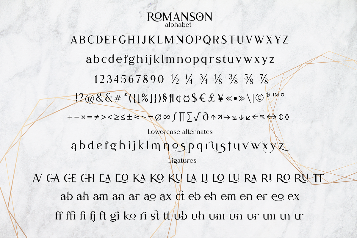Romanson, a Serif Font by Larin Type Co. (Photo 13 of 14)