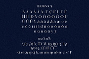 Malcine Modern Serif Typeface, a Serif Font by Alfinart (Thumbnail 8 of 10)