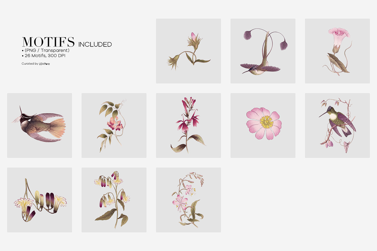 Vintage Botanical Floral Prints, a Pattern Graphic by LEAFure (Photo 7 of 10)