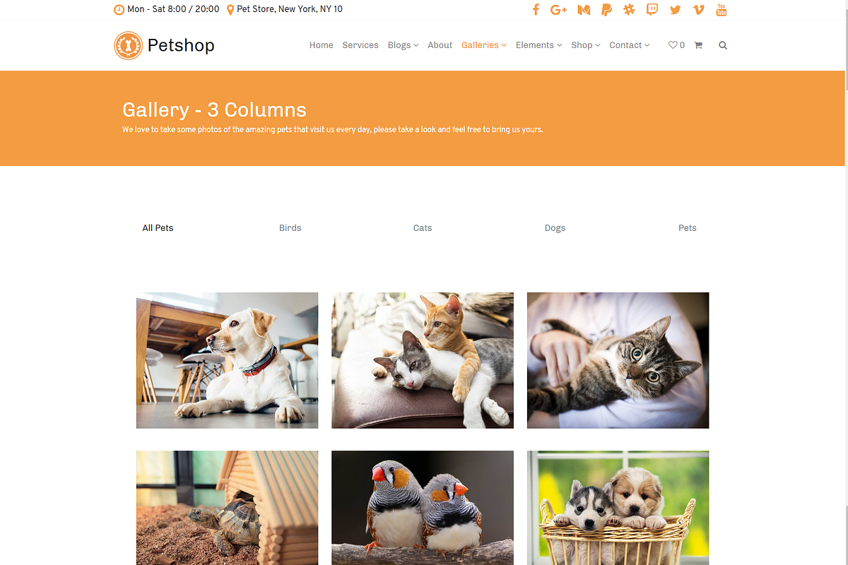 Petshop & Pet Care WordPress Theme, a WordPress Template by Visualmodo (Photo 27 of 30)