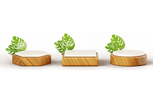 3d Nature Wooden Podium With