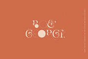 More Aloof Typeface Font, a Serif Font by Creativeqube Design (Thumbnail 4 of 14)