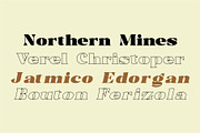 Trellis//Typeface Bold Serif, a Serif Font by Kleffont Studio (Thumbnail 4 of 10)