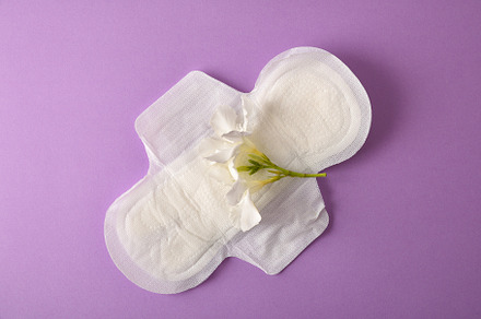 Absorbent protective pad for women care on lilac background, a Health & Medical Photo by Davizro's Market
