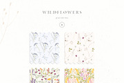 Wildflowers, an Illustration by Blossom (Thumbnail 7 of 9)