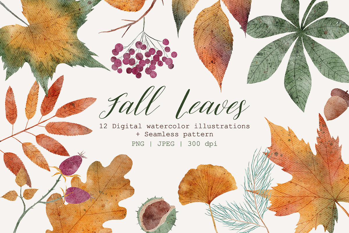 Fall Leaves | Cliparts & Pattern, a Decorative Illustration by OkPen (Photo 1 of 5)