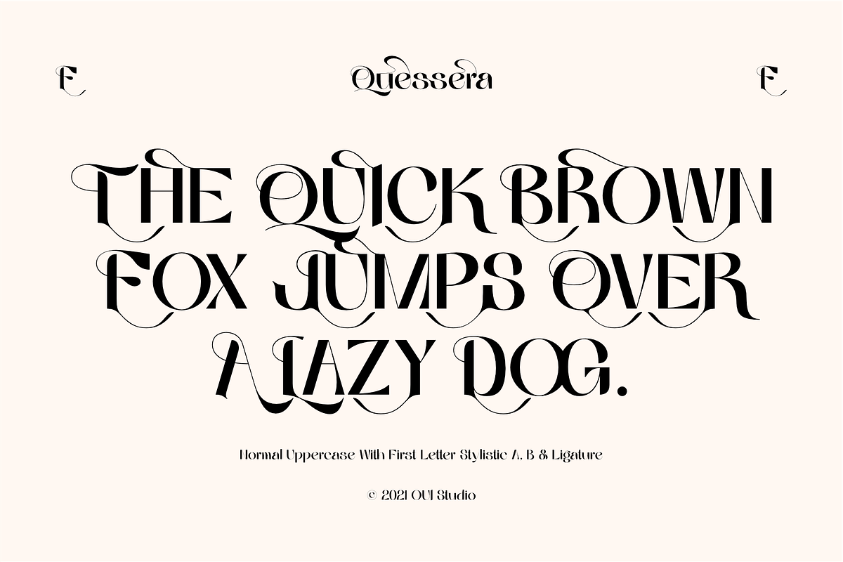 Quessera Font, a Sans Serif Font by Oui Studio (Photo 8 of 21)