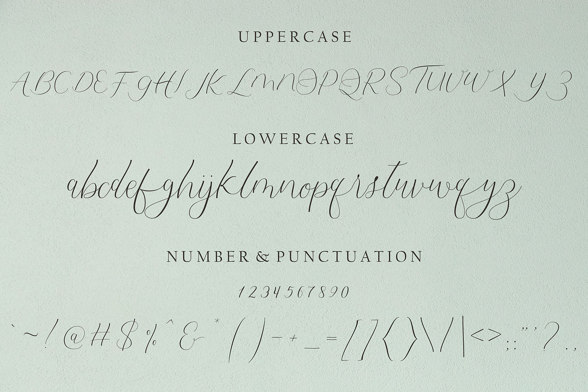 Snow White, a Script Font by Funtype (Photo 8 of 10)
