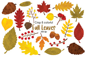 Fall Leaves Clipart