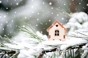 Christmas toy house, a Nature Photo by WildStrawberry Magic (Thumbnail 2 of 2)
