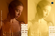 Alternative Photography LR Presets, a Preset Add-On by Lumière Noire Studio (Thumbnail 2 of 6)