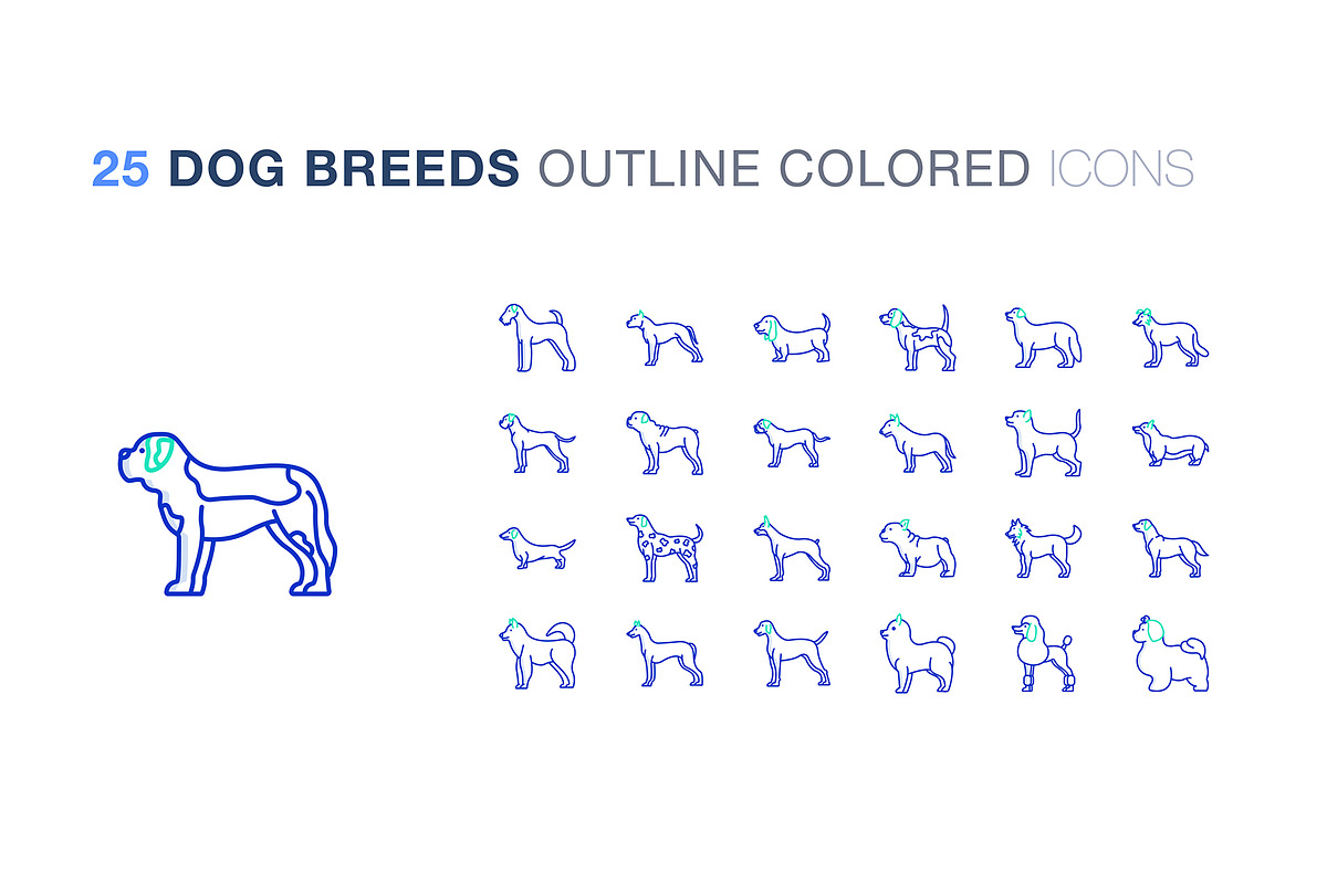 Dog breeds icon set, an Icon by Icongeek26 (Photo 5 of 6)