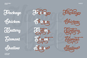 Vintage Glader, a Script Font by Ditatype (Thumbnail 6 of 10)