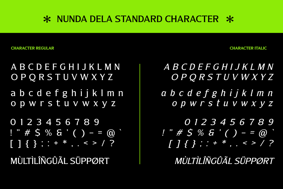 Nunda Dela, a Serif Font by Differentialtype (Photo 10 of 11)