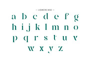 Negita Serif Font, a Serif Font by Idea Studio (Thumbnail 10 of 12)
