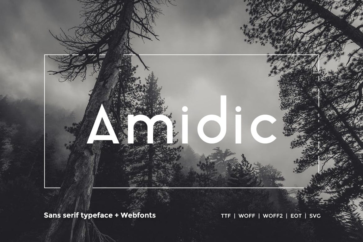 Best Selling 16 Webfonts. - 16 in 1 preview 7