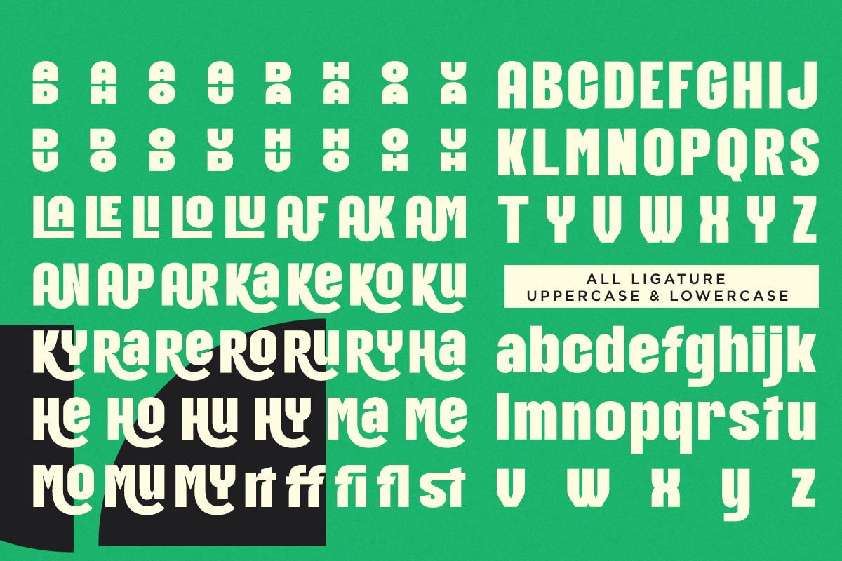 Myrahe - Bold Condensed Font, a Sans Serif Font by RagamKata (Photo 9 of 10)