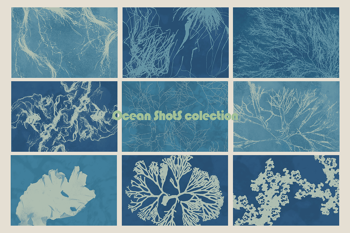 Ocean Shots hand drawn backgrounds, a Background Graphic by DigARTbyHavroshka (Photo 3 of 10)