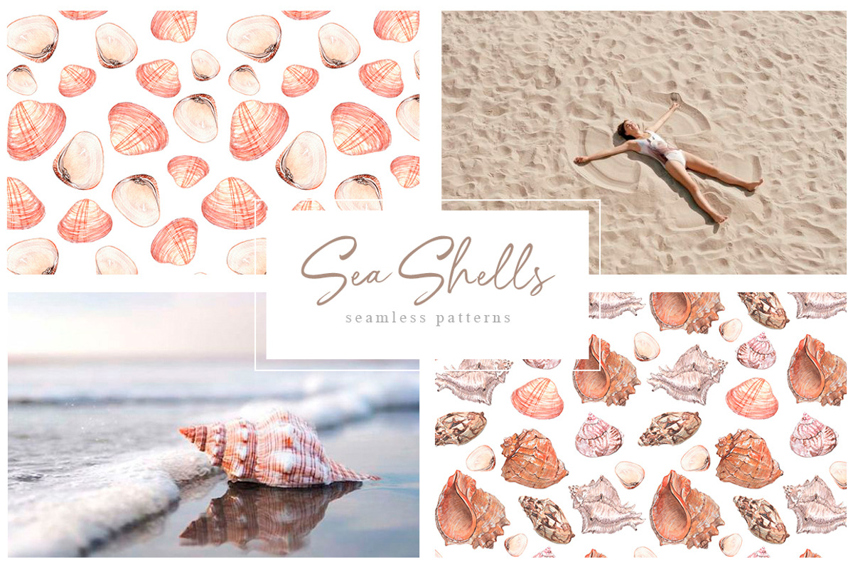 Sea shells Watercolor collection, an Illustration by CrystalinaShop (Photo 3 of 5)