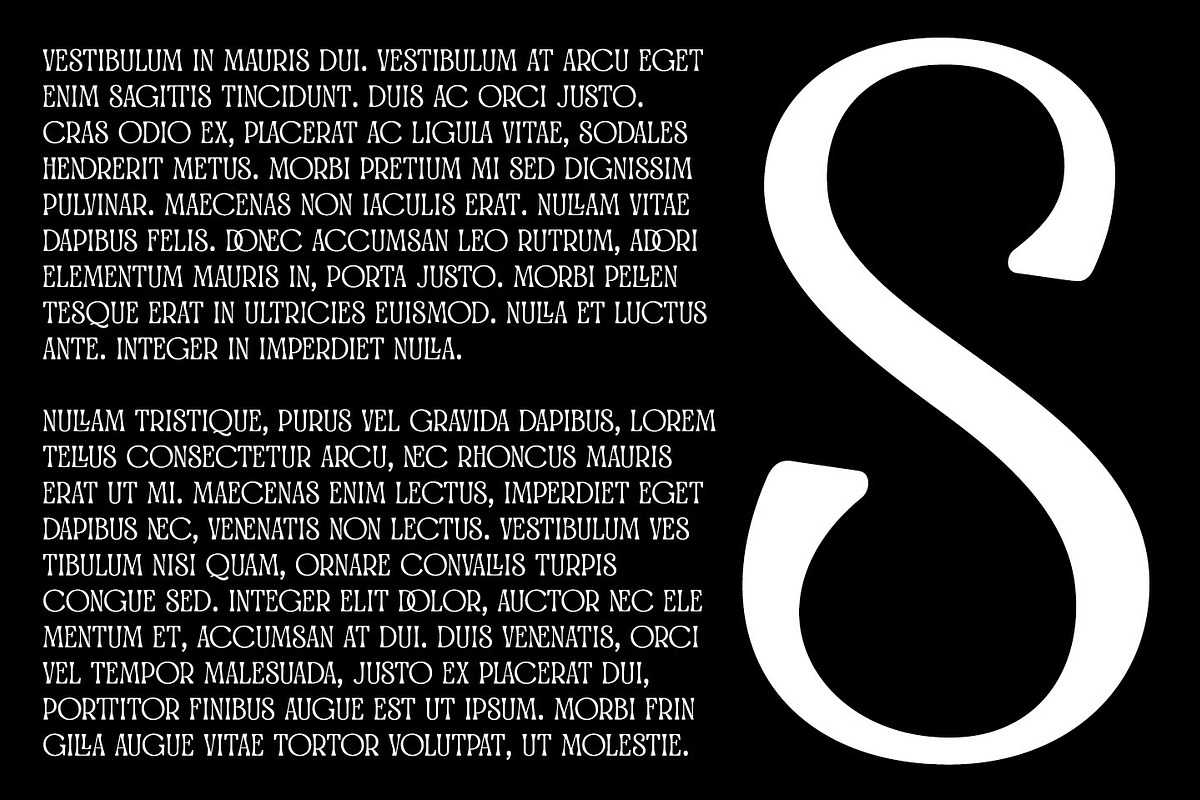 Awesome Lathusca - Unique Serif, a Sans Serif Font by Kulokale (Photo 6 of 10)