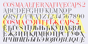 Cosma, a Serif Font by Wiescher-Design (Thumbnail 11 of 11)