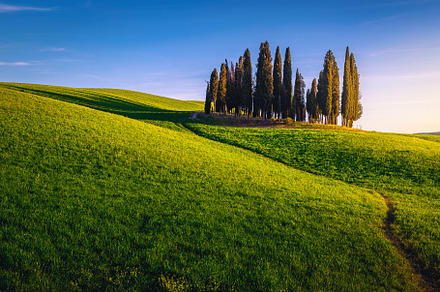 Idyllic summer scenery at sunset, a Nature Photo by Alpine Dreams