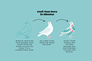 Dove Creator for Procreate, a Brush Add-On by Pencil Twist (Thumbnail 2 of 11)