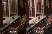 7 Interior Collection Presets, an Action Add-On by IKFDY (Thumbnail 6 of 8)