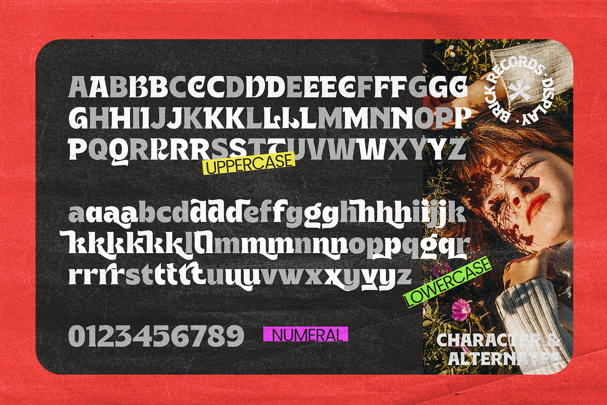 Brick Records - Retro Serif, a Serif Font by Dora Typefoundry (Photo 13 of 14)