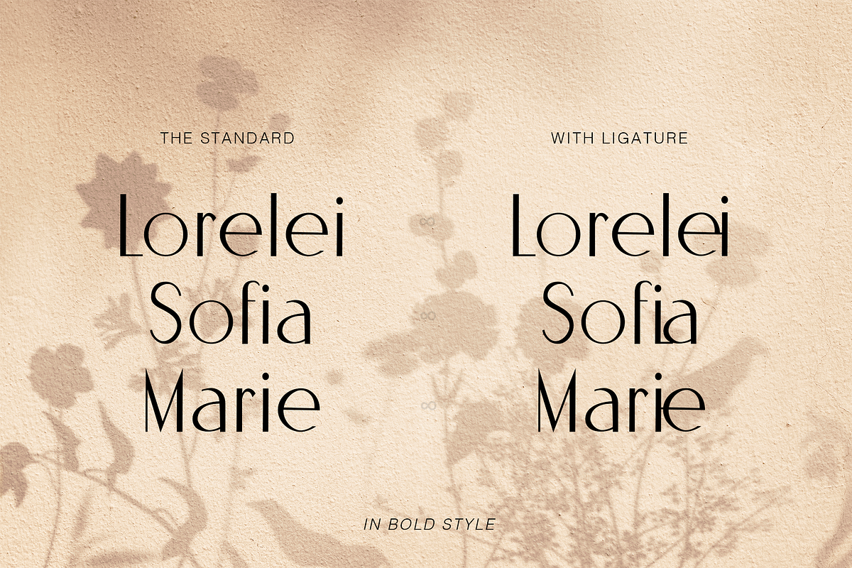 Omaira - Sleek Modern Sans Display, a Sans Serif Font by Cloverons (Photo 3 of 14)