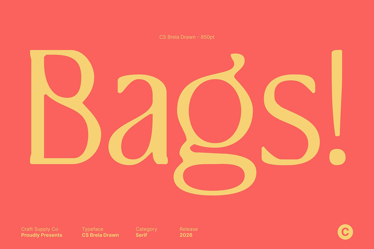 CS Brela Drawn, a Serif Font by Craft Supply Co. (Photo 2 of 8)
