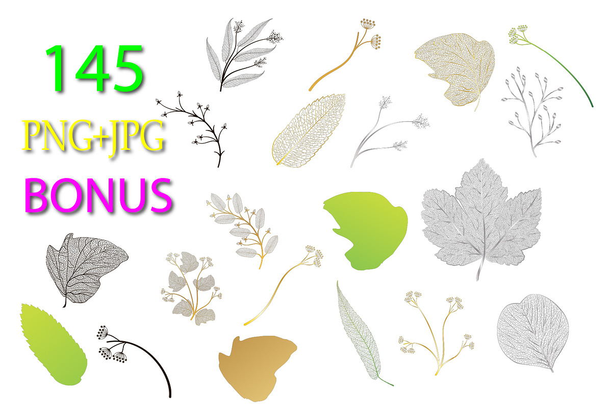 Leaves veins set, an Object Graphic by Digital illustration shop (Photo 3 of 9)
