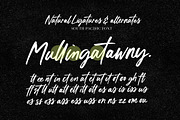 South pacific Marker Font, a Script Font by Nicky Laatz (Thumbnail 27 of 27)