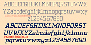 Valsity, a Slab Serif Font by Ingrimayne Type (Thumbnail 6 of 10)