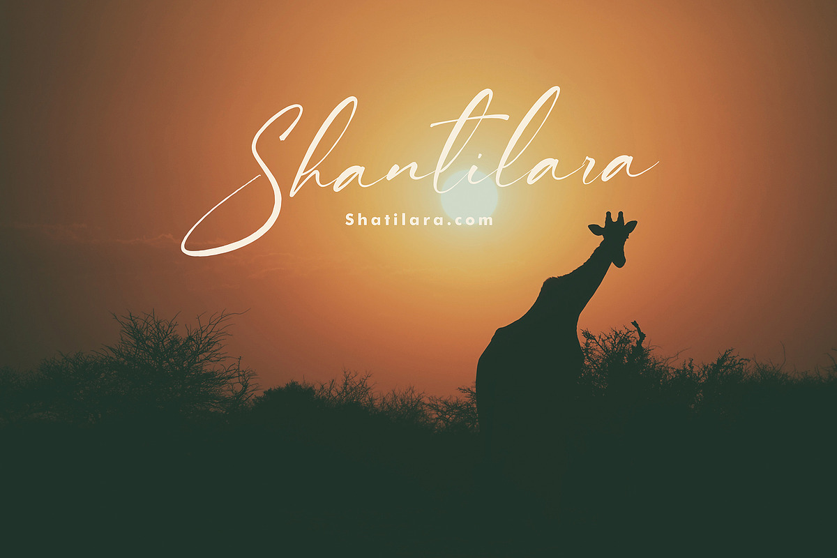 Digterra, a Script Font by pineungtype (Photo 4 of 7)