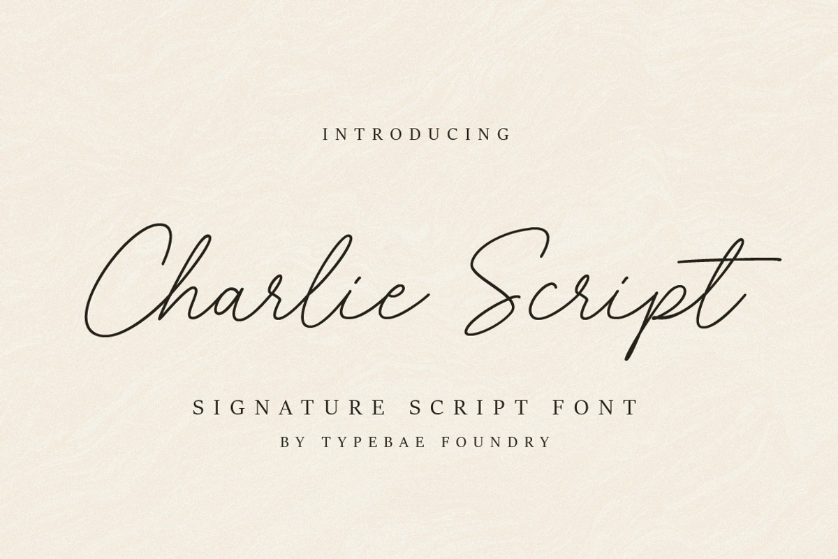 Charlie Script Font, a Script Font by Typebae (Photo 10 of 10)