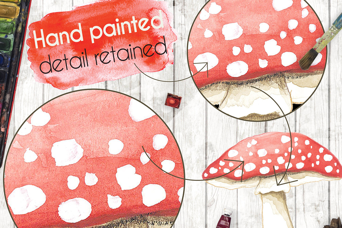 Watercolour Toadstools Mushrooms, a Texture Illustration by alexia.Claire