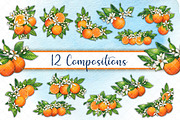 Mediterranean orange set, a Decorative Illustration by angychan (Thumbnail 3 of 6)