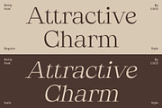Renly – Elegant Serif, a Serif Font by Craft Supply Co. (Thumbnail 4 of 8)