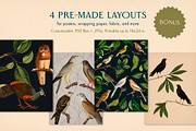 40 Vintage Birds & Branches, an Object Graphic by The Object Atlas (Thumbnail 6 of 9)