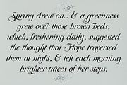 Meadowgrove Calligraphy Font, a Handwritten Font by Beck McCormick (Thumbnail 4 of 10)