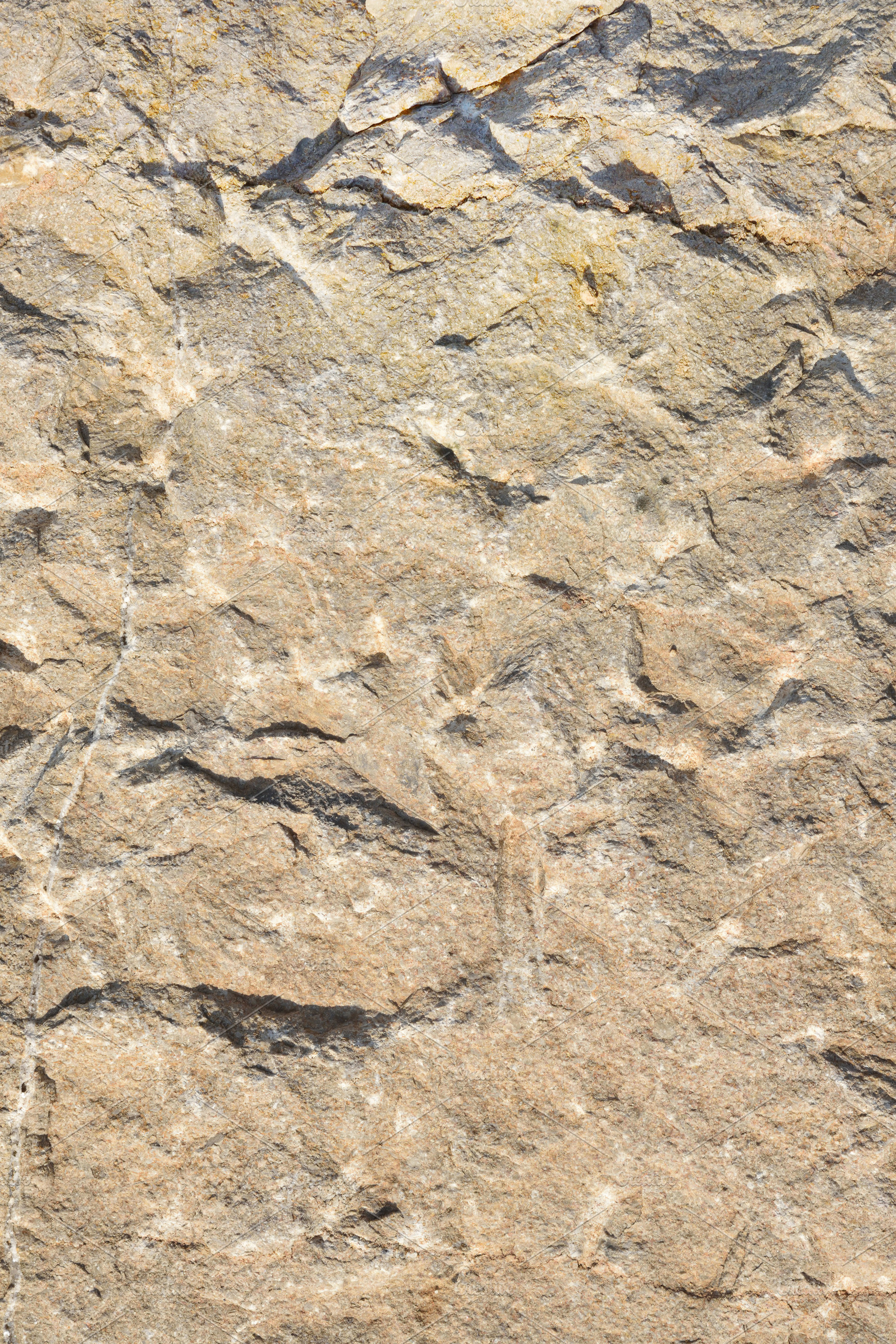 Macro detail background of irregular stone block, a Nature Photo by Davizro's Market