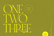 NOIR et BLANC Stylish Serif, a Serif Font by Nicky Laatz (Thumbnail 35 of 41)
